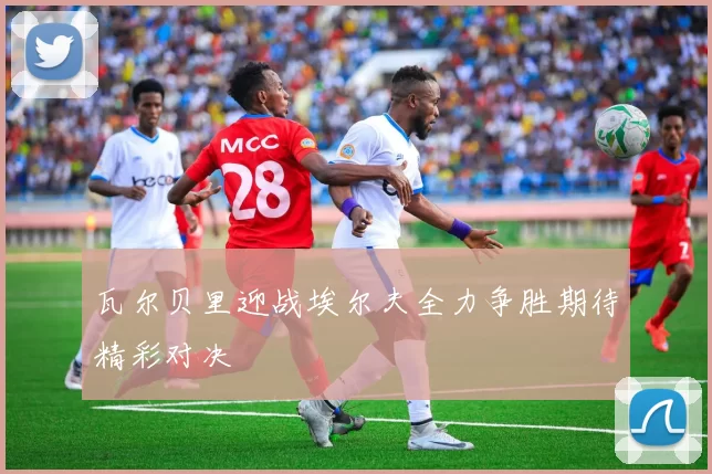 瓦尔贝里迎战埃尔夫全力争胜期待精彩对决