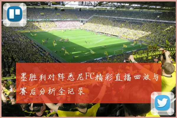 墨胜利对阵悉尼FC精彩直播回放与赛后分析全记录