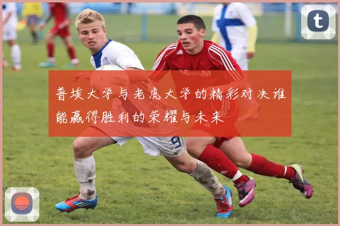 普埃大学与老虎大学的精彩对决谁能赢得胜利的荣耀与未来
