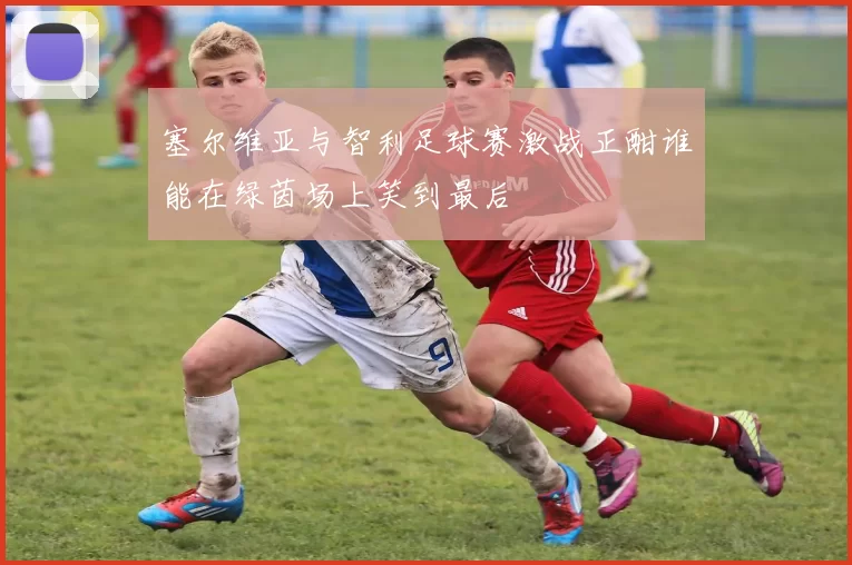 塞尔维亚与智利足球赛激战正酣谁能在绿茵场上笑到最后